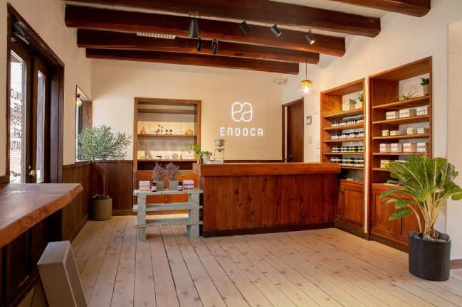 北欧CBDブランドENDOCA(エンドカ) が ブランド初のフラッグシップショップを鎌倉にオープン!