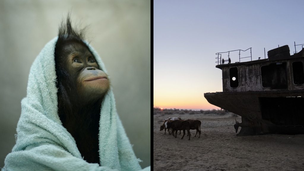 柏倉陽介 Yosuke Kashiwakura Photo Exhibition ネイチャーフォトグラファー ゴールドウイン 世紀最大の環境破壊