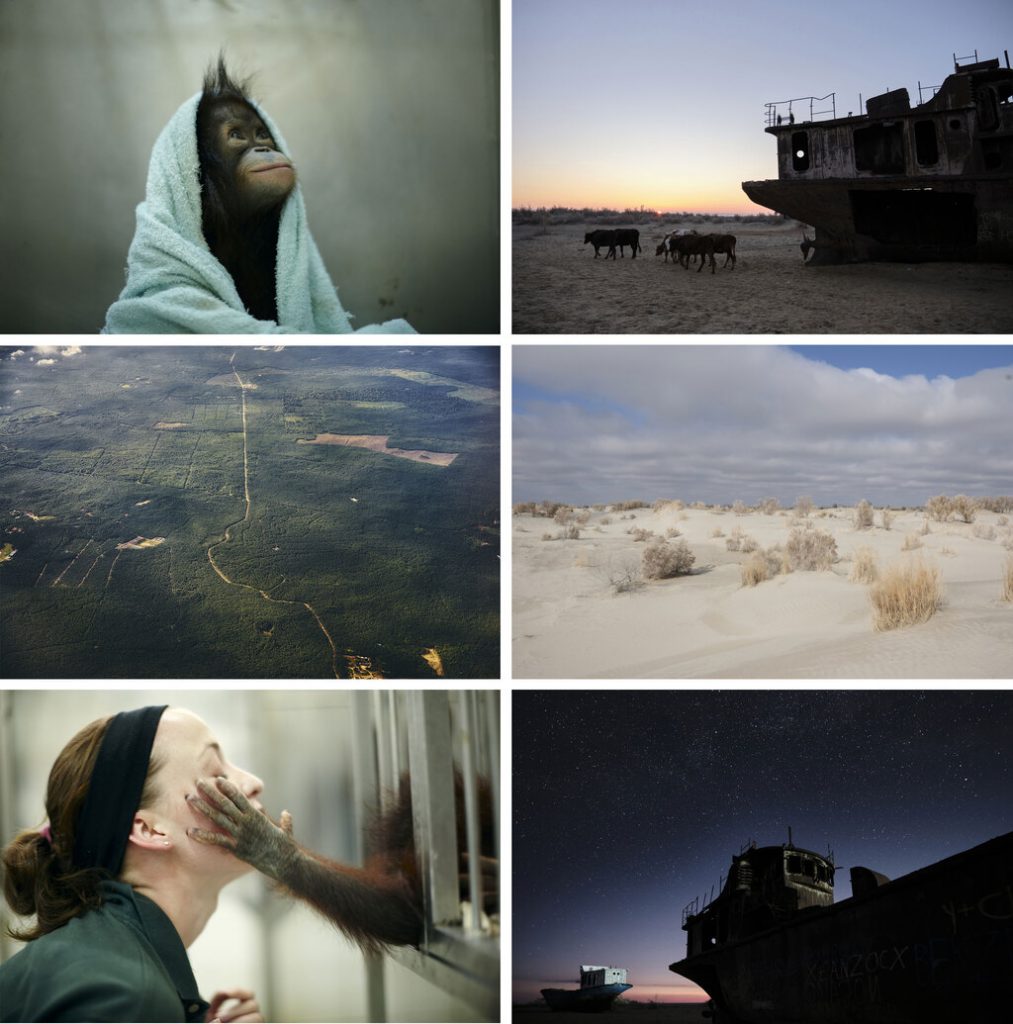 柏倉陽介 Yosuke Kashiwakura Photo Exhibition ネイチャーフォトグラファー ゴールドウイン 世紀最大の環境破壊